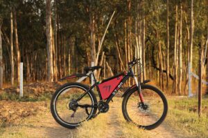 electric bike, ebike, electric, ectlv, cycle, motor, e-bike, stormatomobile, auto, comfortable, brown bike, electric bike, electric bike, electric bike, electric bike, electric bike, ebike, ebike, ebike, ebike