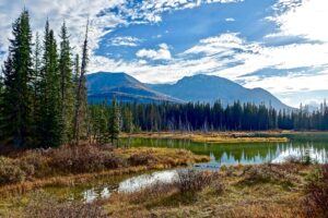 Tranquil view of mountains and a reflective lake surrounded by evergreen forest under a clear blue sky.