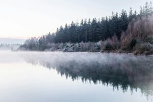 Serene winter landscape of a misty lake in Gasselte, Drenthe, Netherlands.