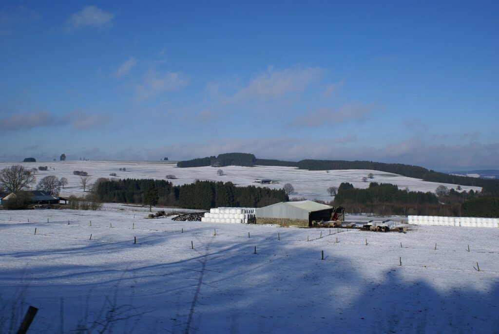belgium, nature, ardennes, winter, snow, blue sky