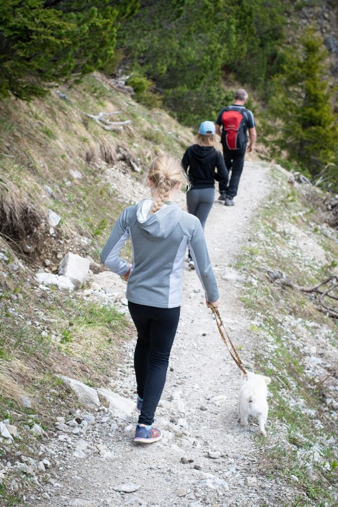 hike, path, nature, animal, alps, trail, pet, people, dog