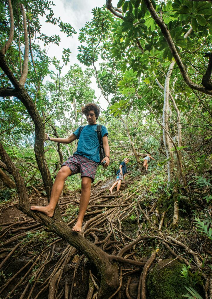 Hikers navigate through dense forest trails in Waipahu, Hawaii, surrounded by vibrant greenery and rugged roots.