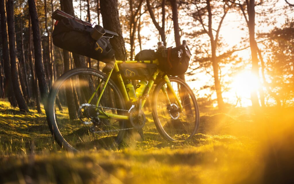 Adventure bike with gear in a sunlit forest, perfect for exploring nature.