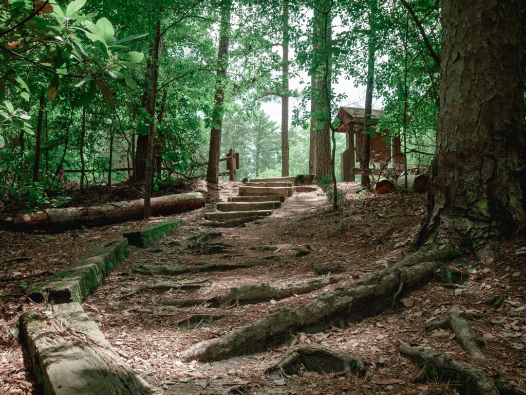 Sesqui Stair Path Landscape