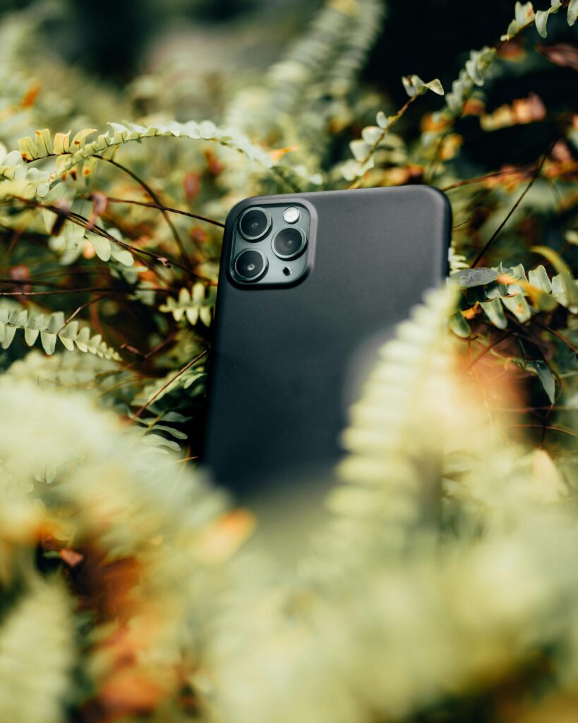 Close-up of a smartphone nestled in ferns, showcasing modern technology in an outdoor setting.