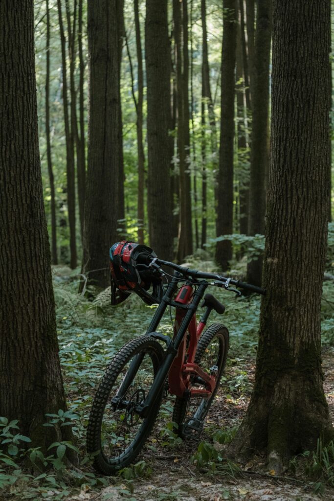 A mountain bike and helmet resting against tree trunks in a lush forest setting.